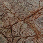 bidasar20brown.jpg